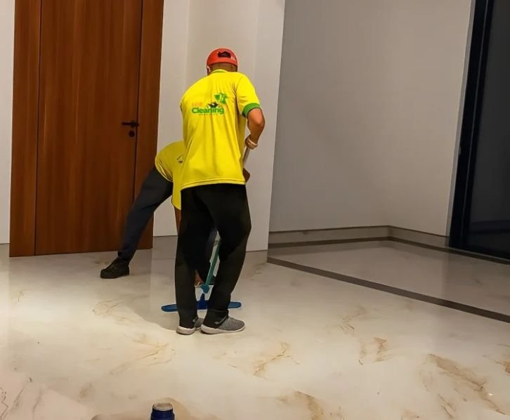 professional and best Hifi cleaning services