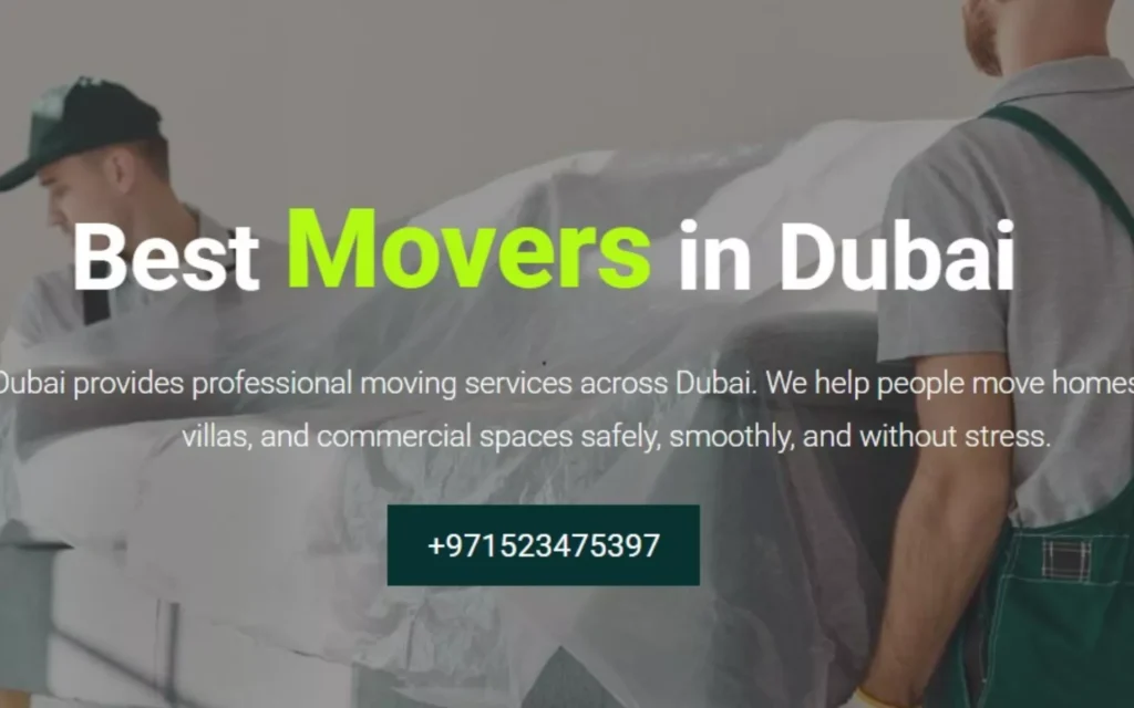 website development services for modern business sites