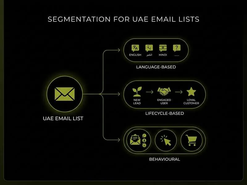 infographics elabortion email segmention to show email marketing ROI