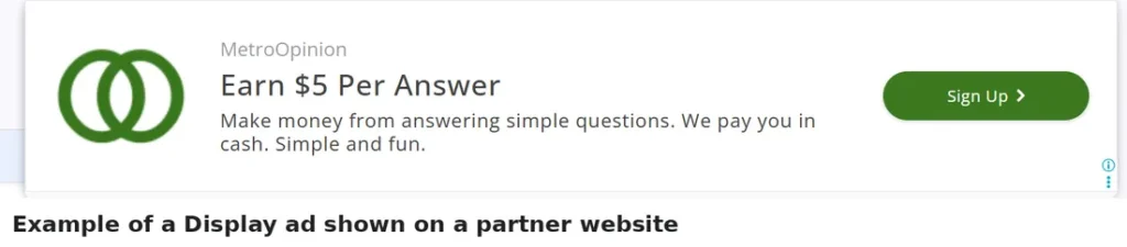 What a Google Display ad looks like on a partner site