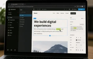 Developer Working on Website Optimization