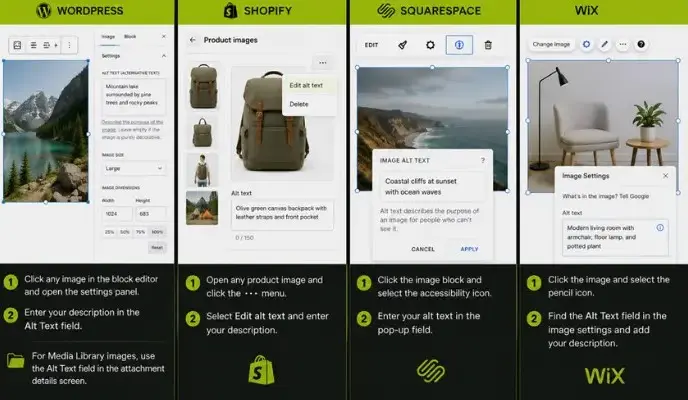 Adding image alt text in WordPress, Shopify, Squarespace, and Wix.