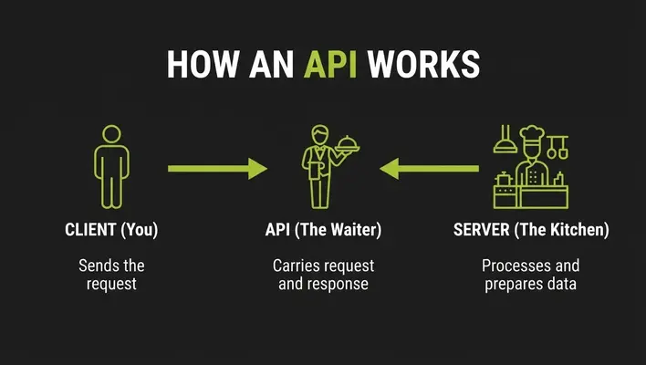 Infographic showing the API restaurant analogy with client as customer, API as waiter, and server as kitchen